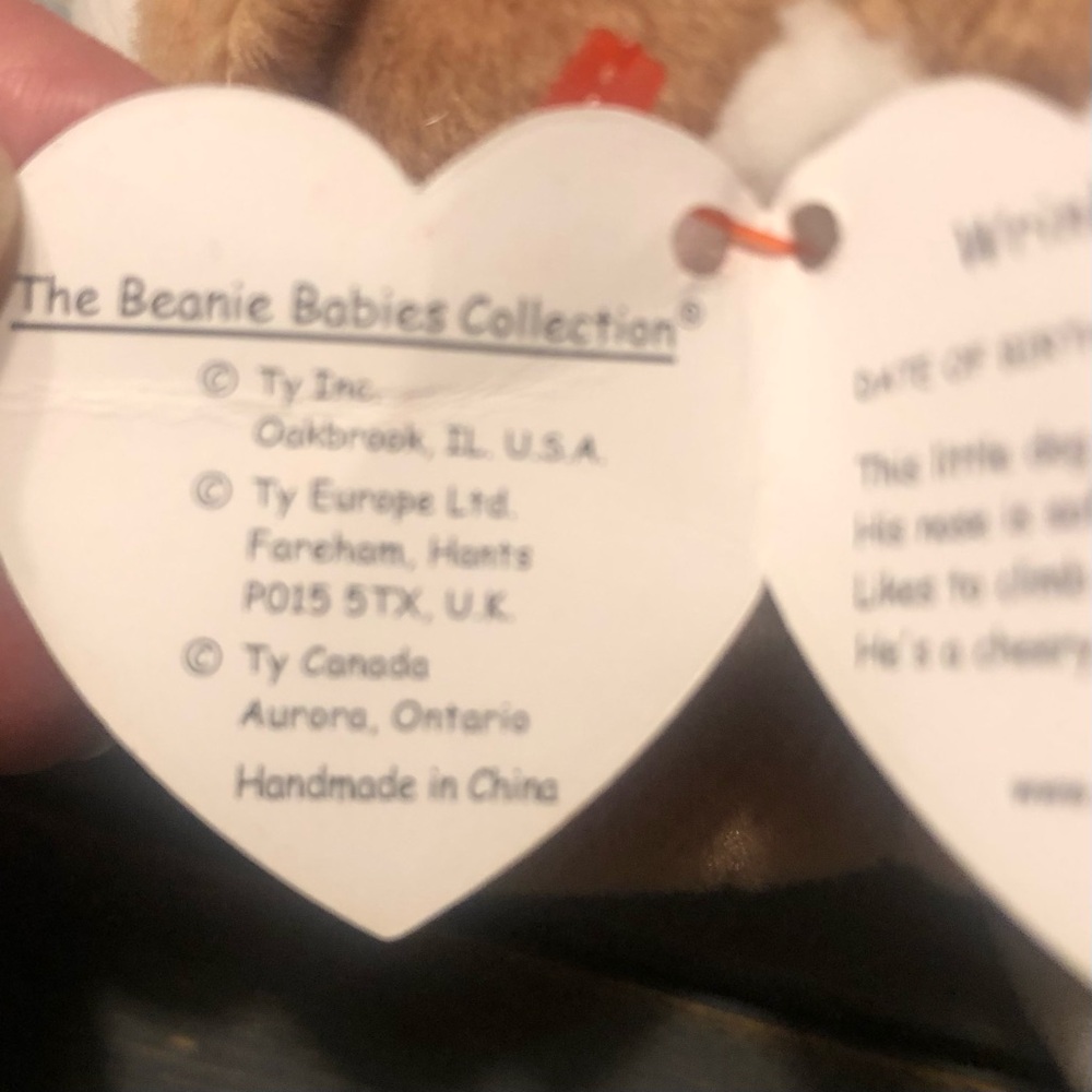 ty Wrinkles Beanie Babies - Brown and White Plush Dog Toy with Floppy Ears - Picture 8 of 10